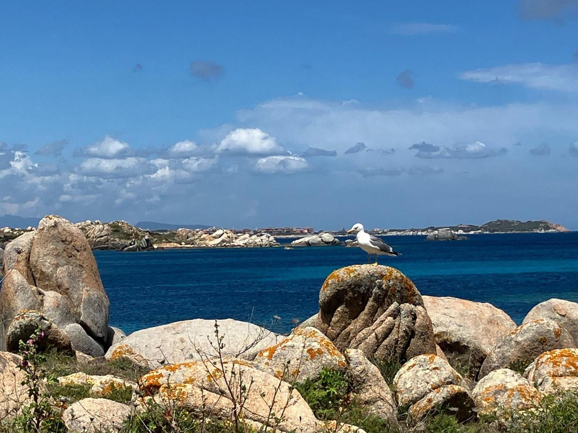 Maison Non Fumeur - Jardin 5 Personnes Proche Des Plages Finisteriennes Guipavas Εξωτερικό φωτογραφία
